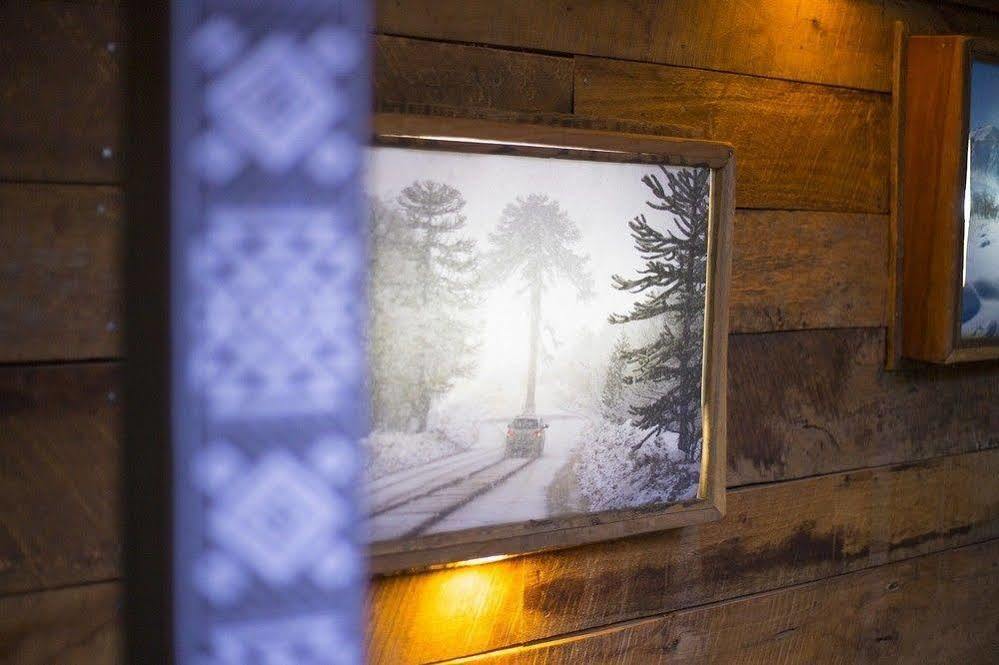 Newen B&B Pucón Екстериор снимка